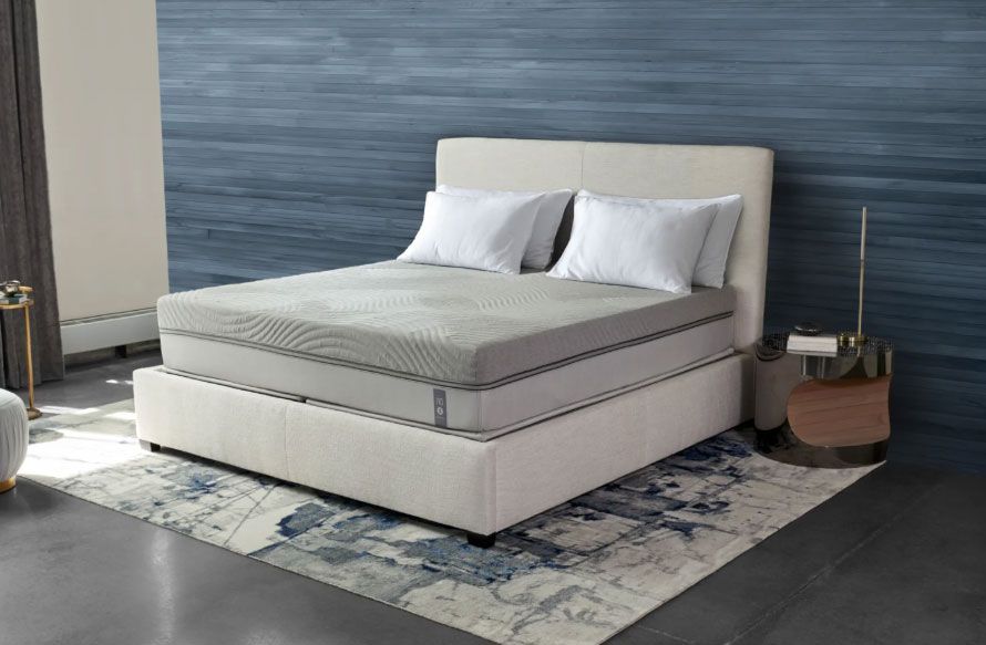 Number 360 Smart Sleep Number Bed Disassembly Sleep Number's CEO