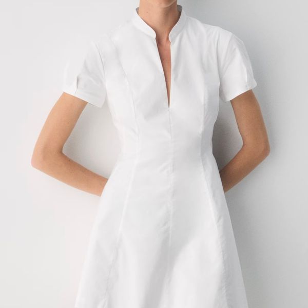 Aritzia Babaton Intro Poplin Dress