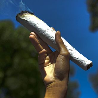 A man holds a giant marijuana joint during the World Day for the Legalization of Marijuana in Medellin, Antioquia department, Colombia on May 3, 2014. AFP PHOTO/Raul ARBOLEDA (Photo credit should read RAUL ARBOLEDA/AFP/Getty Images)