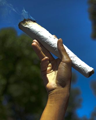 A man holds a giant marijuana joint during the World Day for the Legalization of Marijuana in Medellin, Antioquia department, Colombia on May 3, 2014. AFP PHOTO/Raul ARBOLEDA (Photo credit should read RAUL ARBOLEDA/AFP/Getty Images)