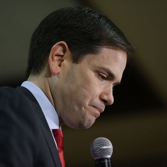 Marco Rubio Holds Campaign Rally In Tampa