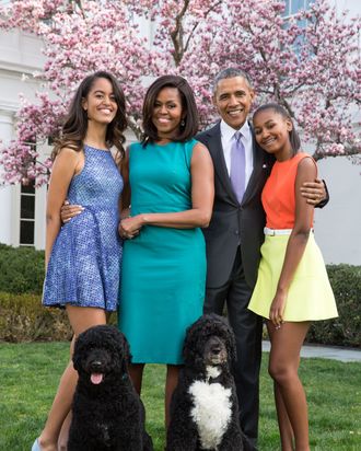 Two influential adults, two teens they live with, two fun dogs in formalwear