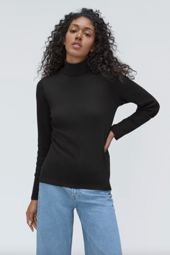 Everlane The Pima Micro-Rib Turtleneck