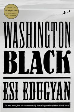 Washington Black, by Esi Edugyan