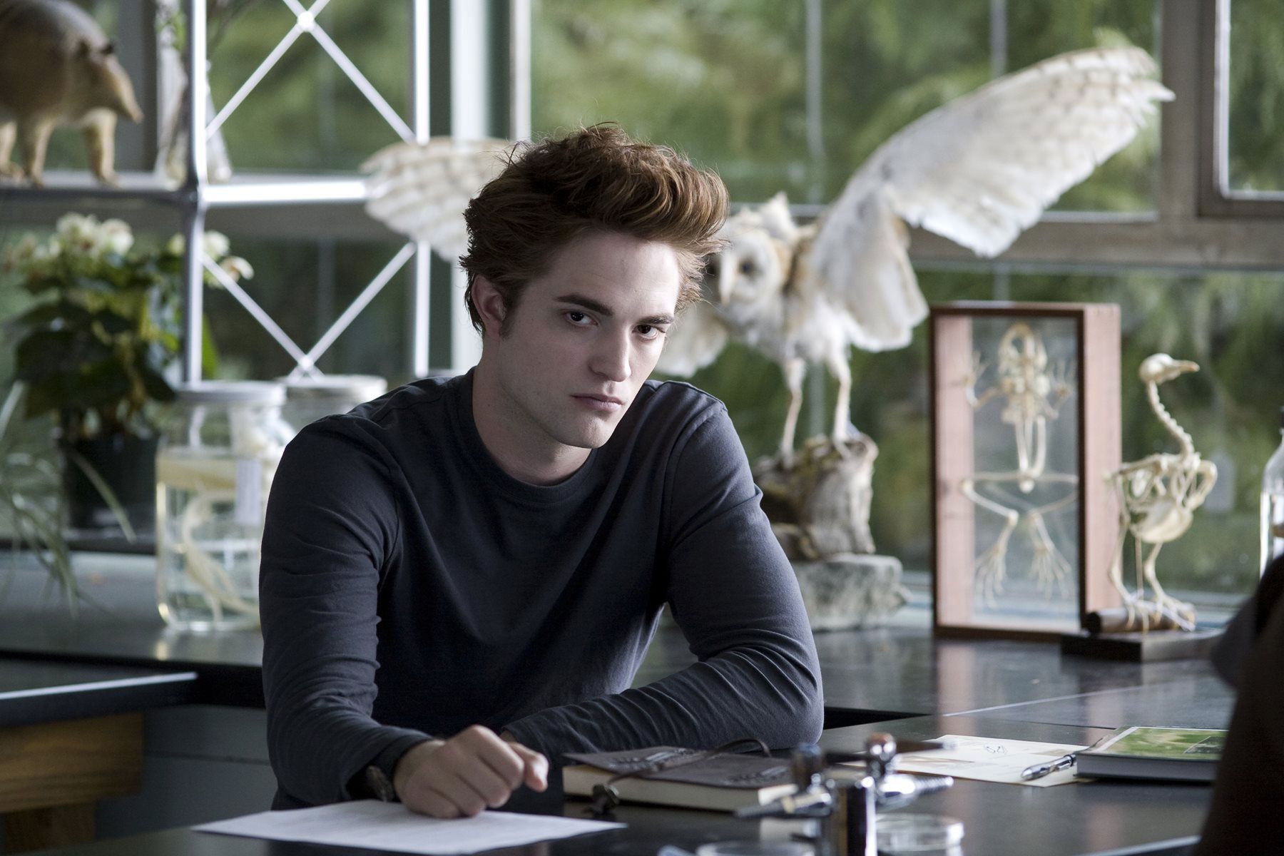 A Parody) Twilight Midnight Sun: Edward's by Cullen, E.