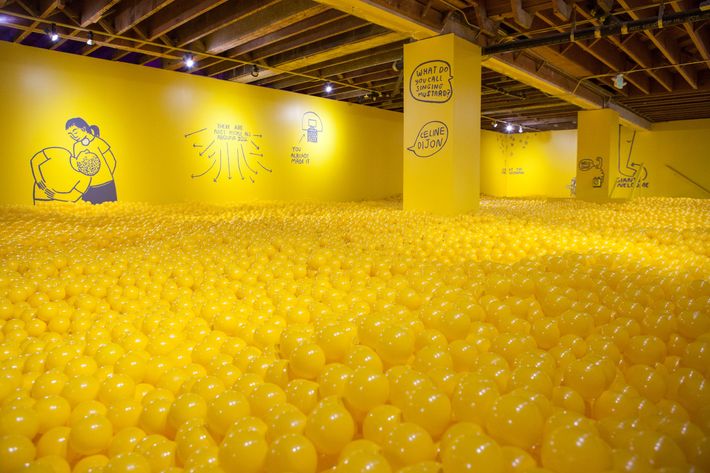 A ball pit with approximately 207,000 balls.