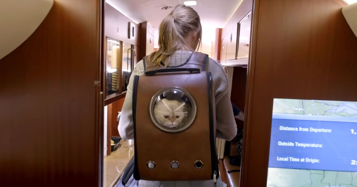 Don't Buy Taylor Swift's New Backpack 