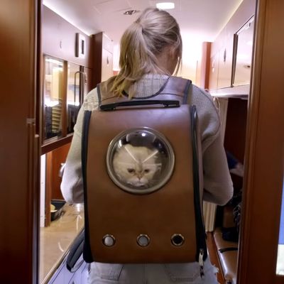 Where to Buy Taylor Swift's Cat Backpack in 'Miss Americana'