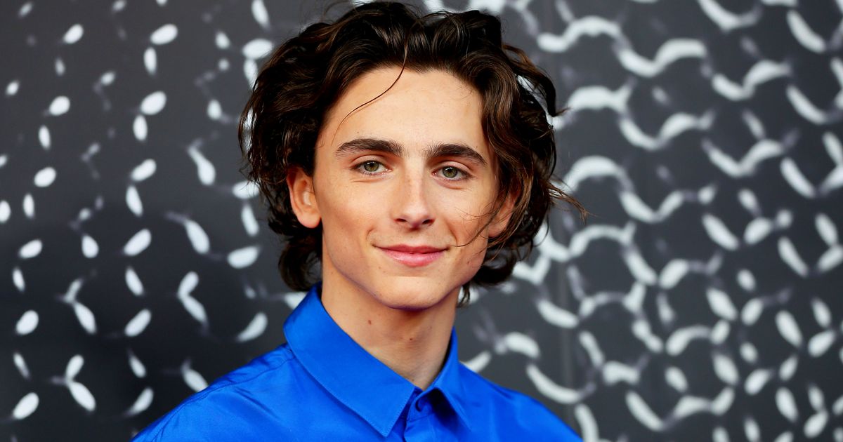 蒂莫西·柴勒梅德 (Timothée Chalamet) 將他的才華搬上舞台