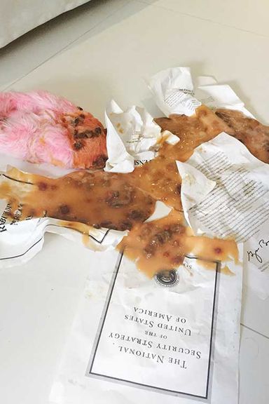 Sue Webster puke pile at Home Alone 2.