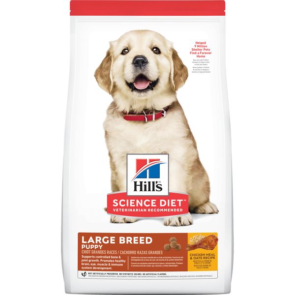 best rated dog food for small dogs