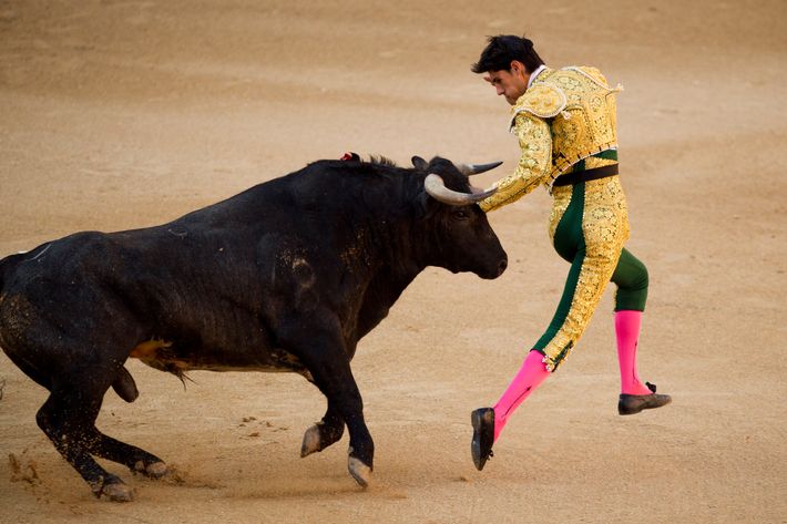 Bullfighter's Sacrifice