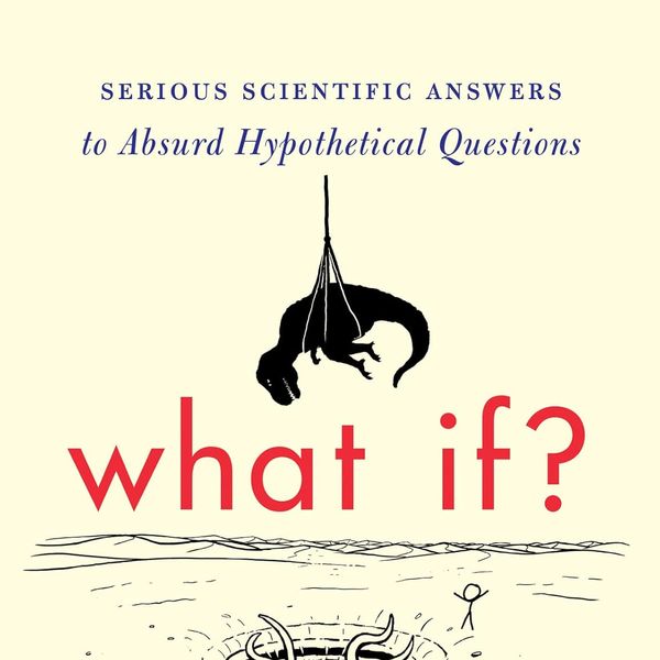 'What If?: Serious Scientific Answers to Absurd Hypothetical Questions,' by Randall Munroe - Hardcover