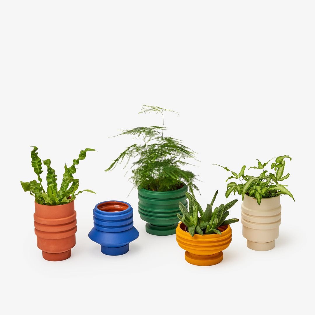 Plant Vessel