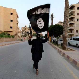 A member loyal to the Islamic State in Iraq and the Levant (ISIL) waves an ISIL flag in Raqqa June 29, 2014. 