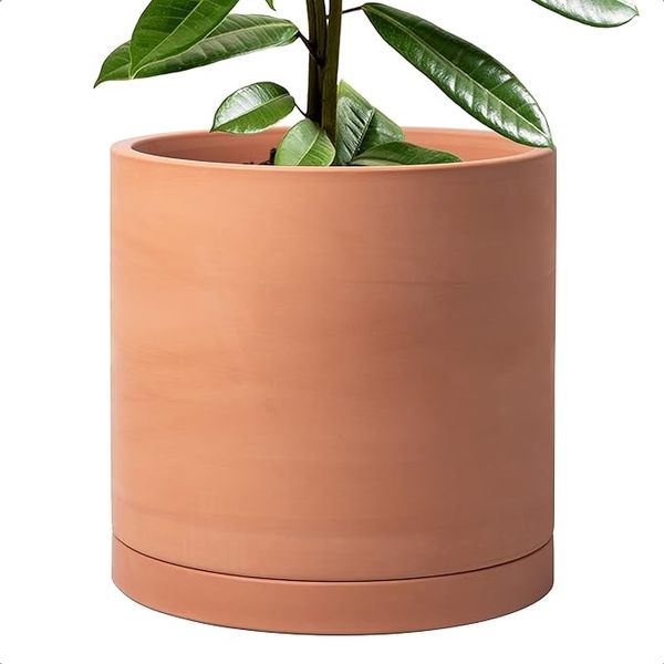 D’vine Dev 12 inch Terracotta Plant Pot