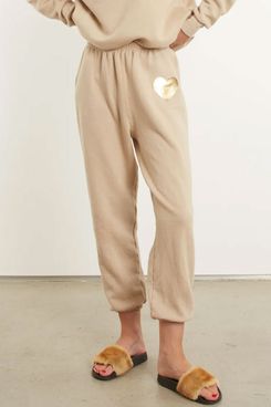 Hanes Women's EcoSmart Cinched Cuff Sweatpants, Navy Heather, M :  : Fashion
