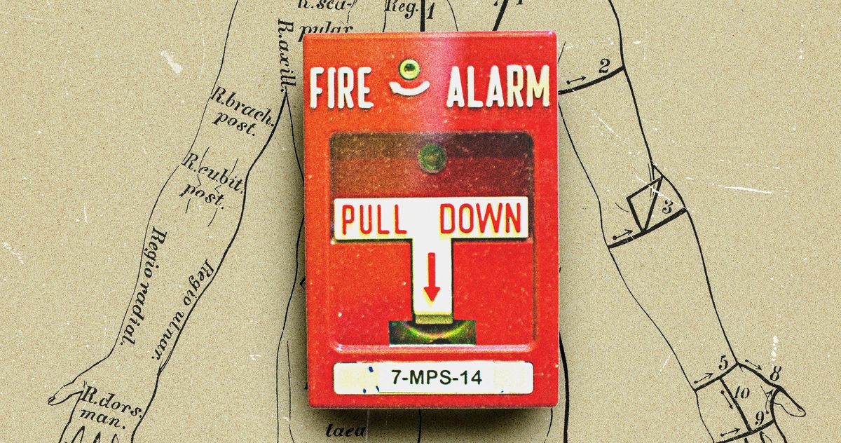 How Inflammation Took Over the Internet