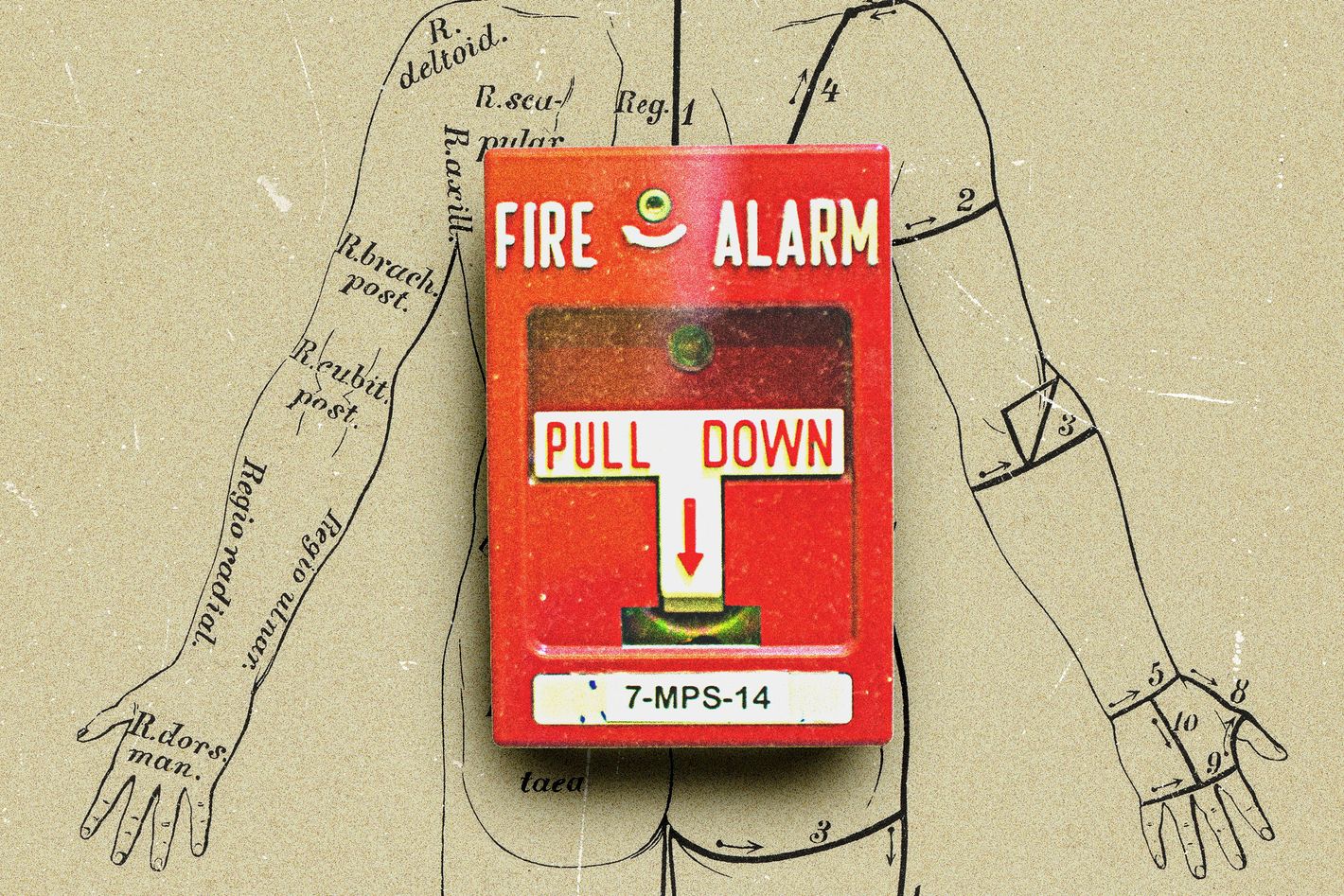 How Inflammation Took Over the Internet