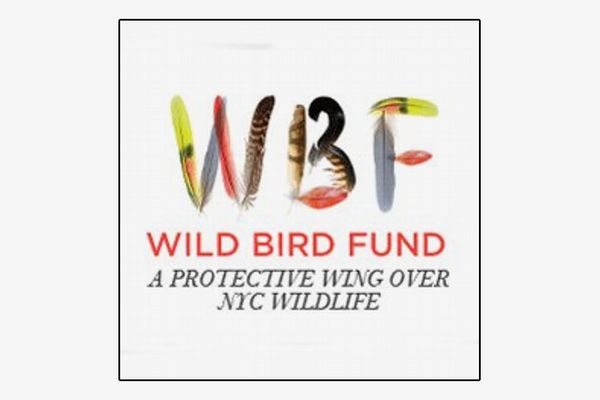 Wild Bird Fund Membership