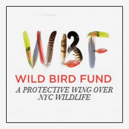 Wild Bird Fund Membership