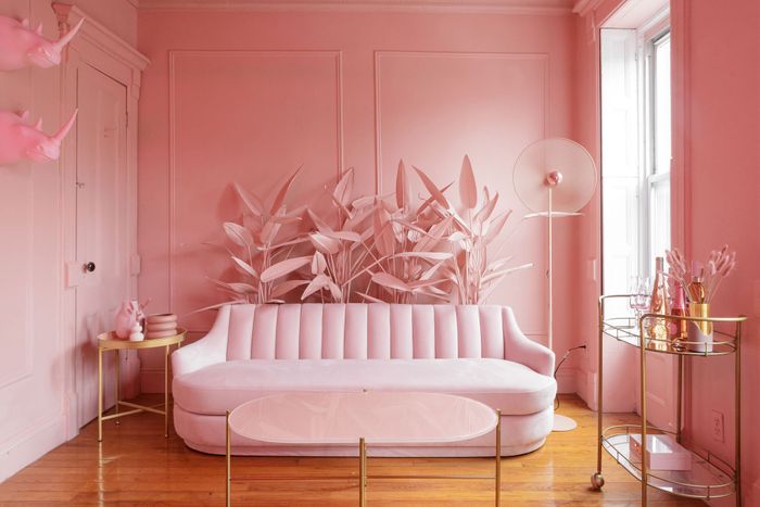 Brooklyn Apartment Now An All-Pink 'Content Creation Studio