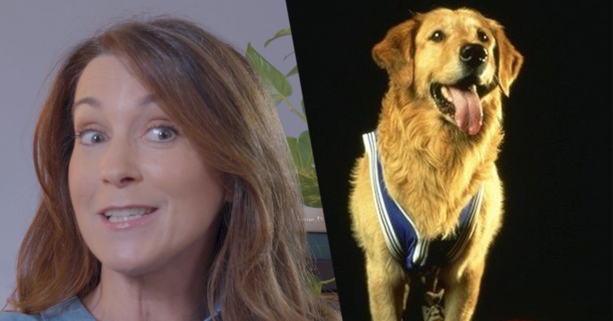 Watch a Dog Trainer Fact-Check Dog Movies