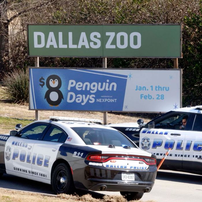 What Is Going On at the Dallas Zoo With Its Stolen Animals?