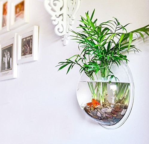 PRUGNA Wall-Hanging Fish Bowl Acrylic Wall-Mounted Plant Pot 1 Gallon Fish Tank