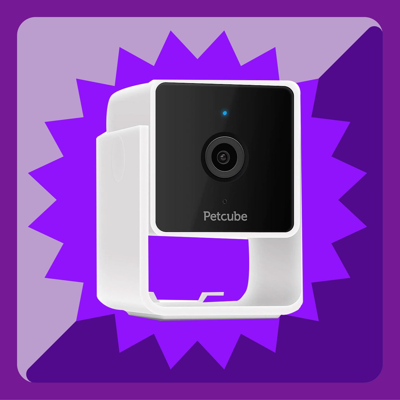 Petcube camera outlet amazon