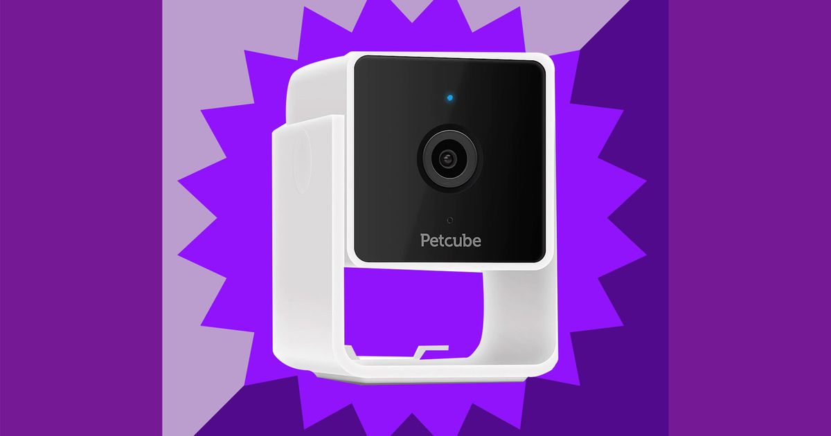 petcube without subscription