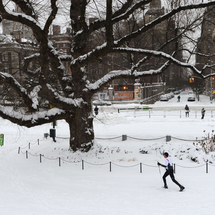 A man cross country skis through Central Park after a snowstorm hit New York January 27, 2015. 