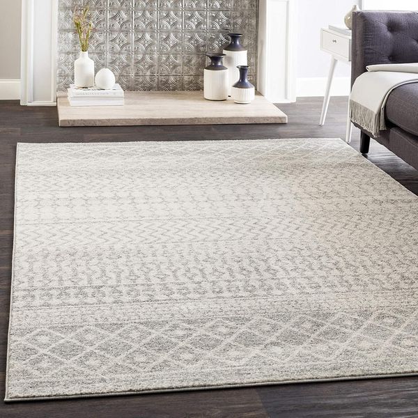 Artistic Weavers Chester Beige and Light Gray Area Rug