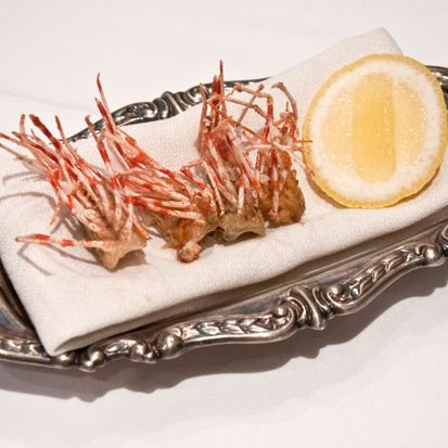 圣巴巴拉生虾。