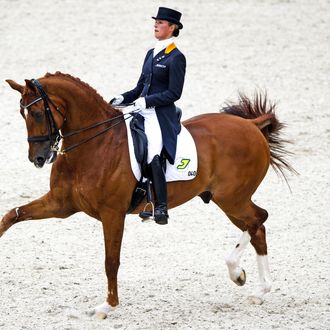 Dutch dressage rider Adelinde Cornelissen performs before winning the Grand Prix Special during the European Dressage Championships in Rotterdam on August 20, 2011. AFP PHOTO / ANP / ROBIN UTRECHT netherlands out - belgium out (Photo credit should read ROBIN UTRECHT/AFP/Getty Images)