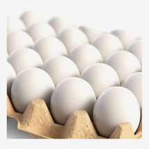 Hyper-Realistic White Wooden Eggs
