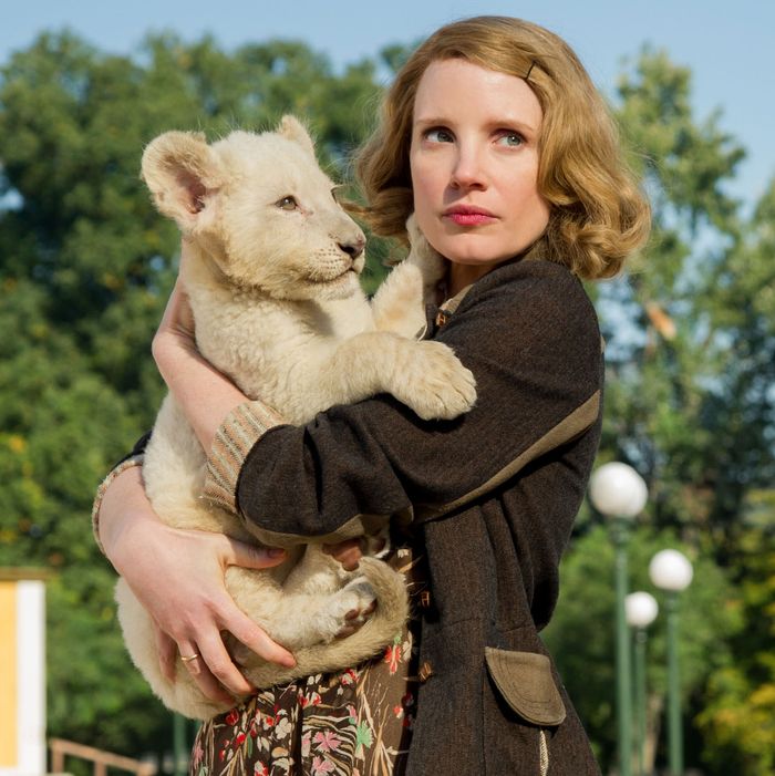 the zookeepers wife cast