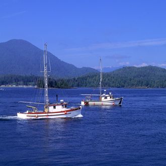 Canada, Bc, Vancouver Island Tofino, Fishing Boats