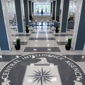 The Central Intelligence Agency (CIA) logo is displayed in the lobby of CIA Headquarters in Langley, Virginia, on August 14, 2008. AFP PHOTO/SAUL LOEB (Photo credit should read SAUL LOEB/AFP/Getty Images)