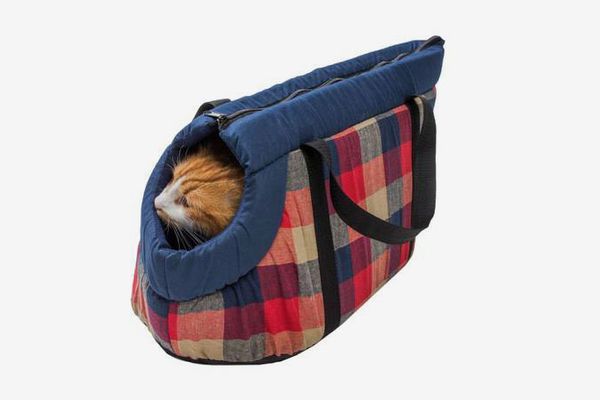 27 of the Best and Coolest Dog Accessories