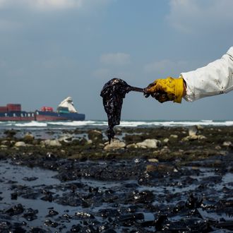 Oil Spill Stains Taiwan Coast After Container Ship Runs Aground