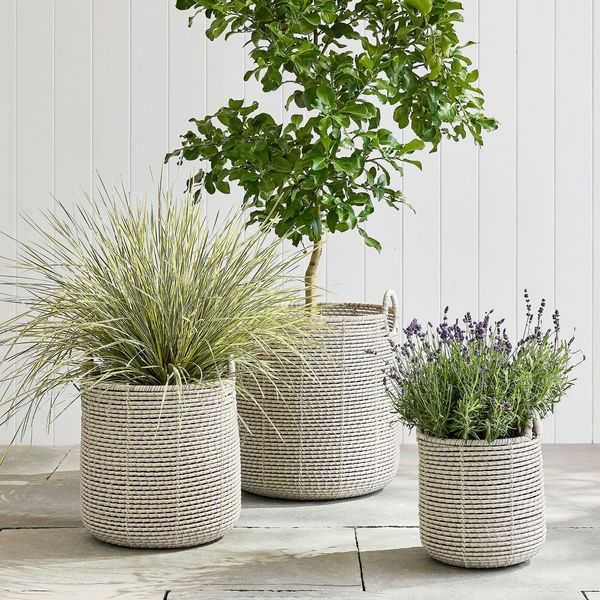 Pottery Barn Porter Woven Planter