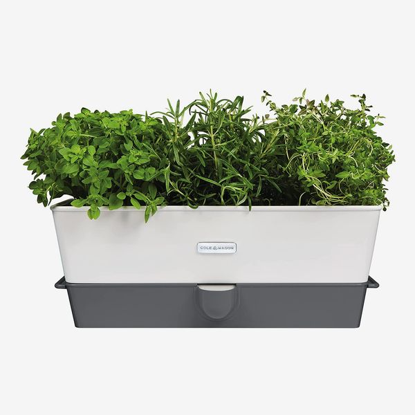 Cole and Mason Self-Watering Potted Herb Planter