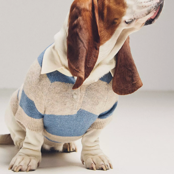 By Anthropologie Striped Rugby Pet Sweater