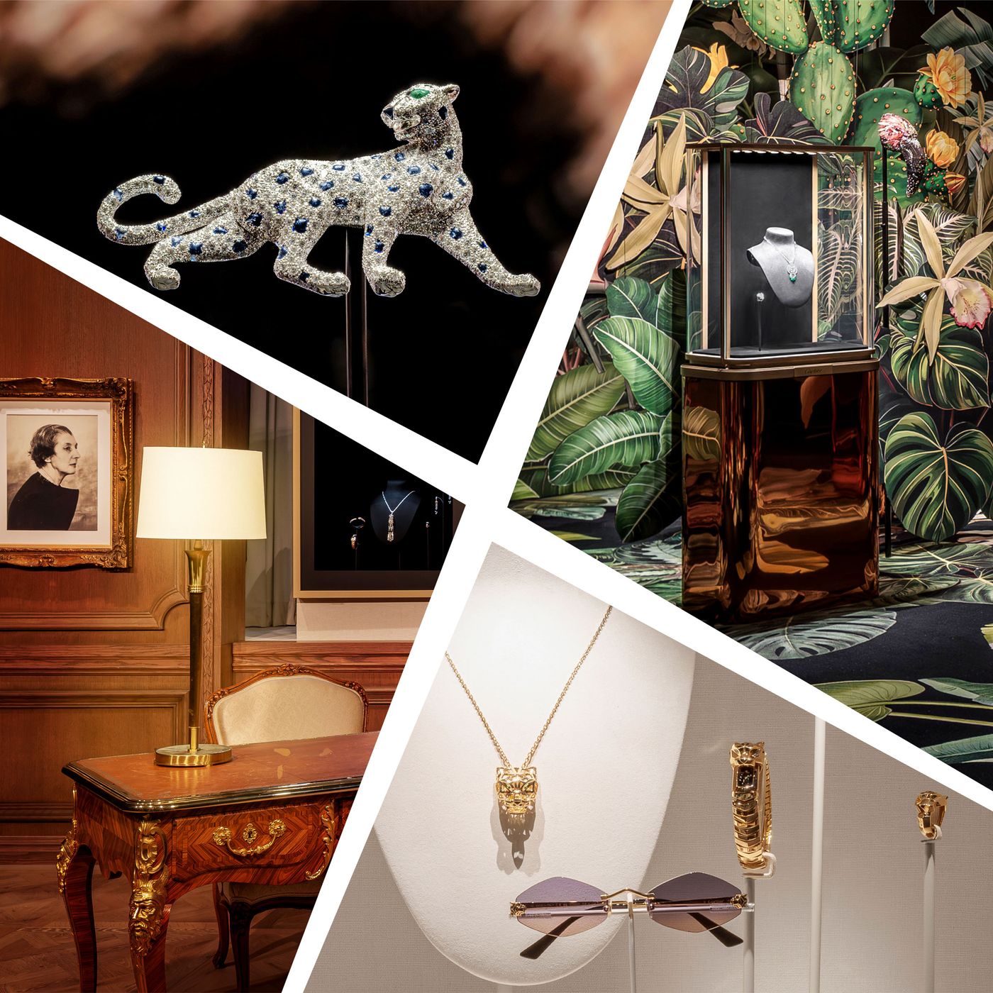 Art Basel 2025: Inside Cartier's 'Into the Wild' Activation