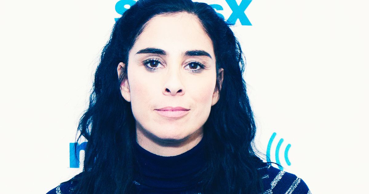Sarah Silverman Apologizes to Louis CK Accuser Rebecca Corry