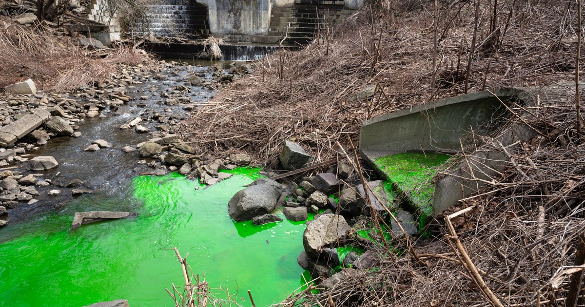 Staten Island's Electric-Green Stream Linked to Sewage Leak Investigation