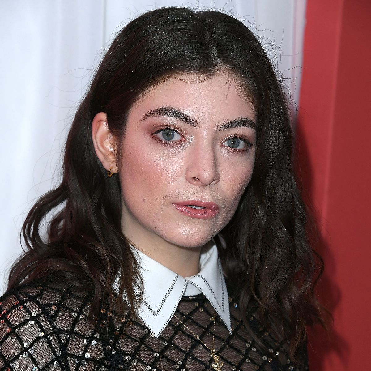 Lorde's New Album Delayed After Loss of Her Dog