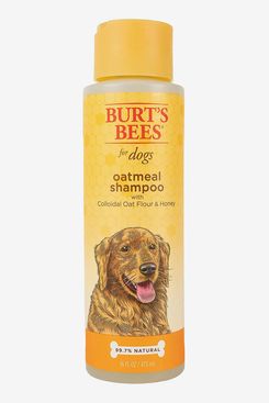 Is oatmeal shampoo bad for dogs hotsell