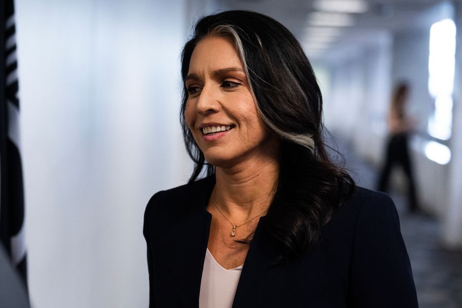 Will Tulsi Gabbard Be Confirmed to Top Intelligence Role?